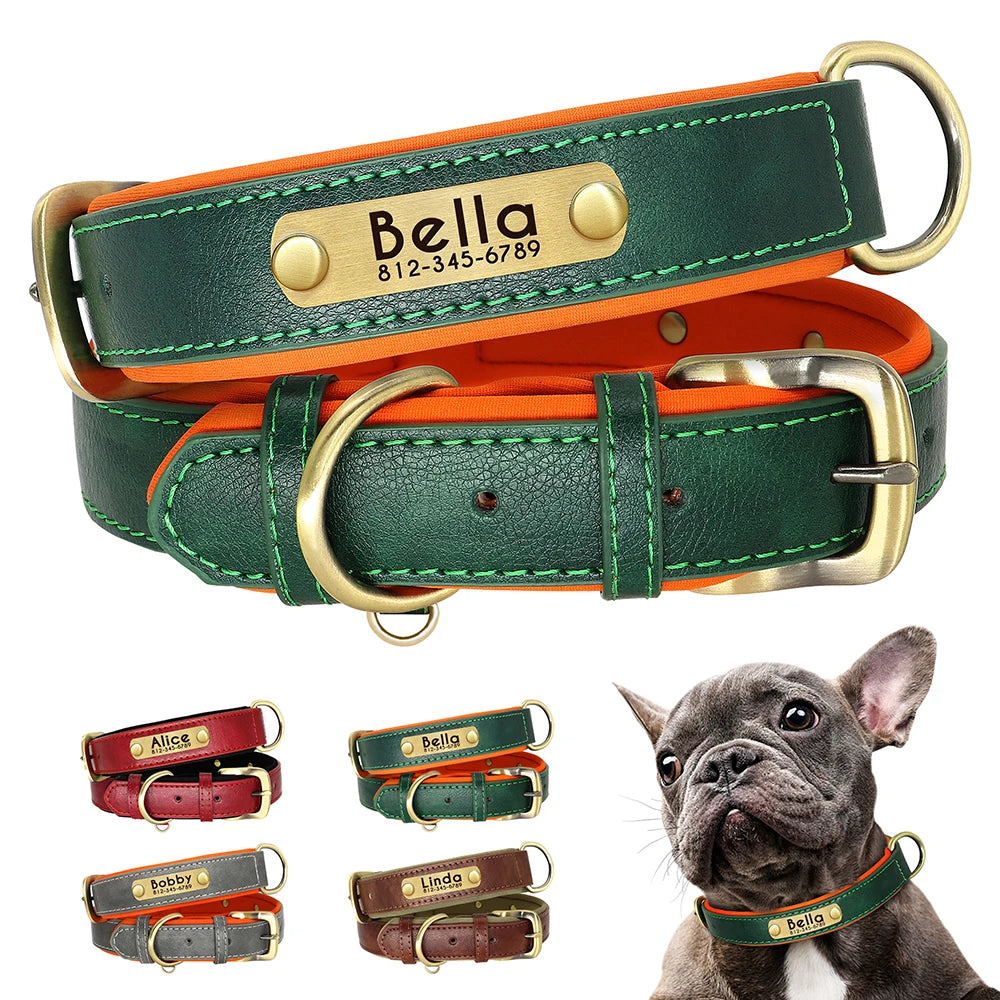 Customized Leather ID Nameplate Dog Collar Soft Padded Dogs