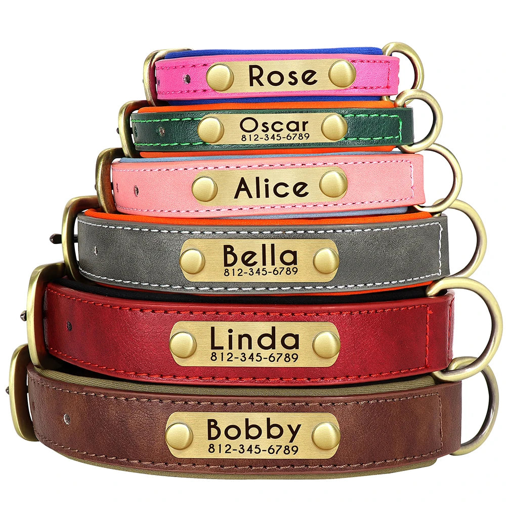 Customized Leather ID Nameplate Dog Collar Soft Padded Dogs