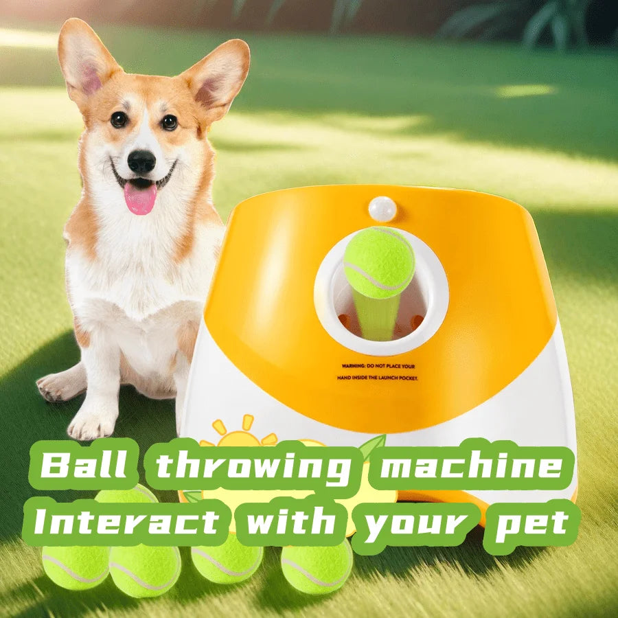 Dogs Toy Tennis Throwing Pinball Machine