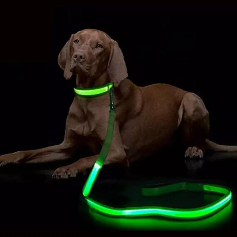 LED Light Up Dog Leash