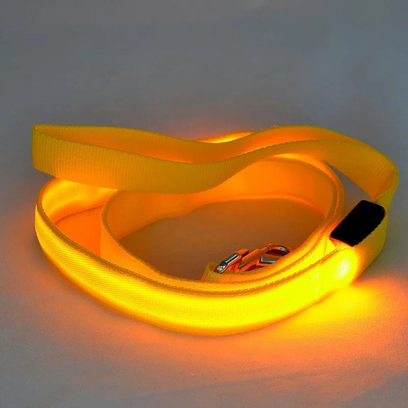 LED Light Up Dog Leash