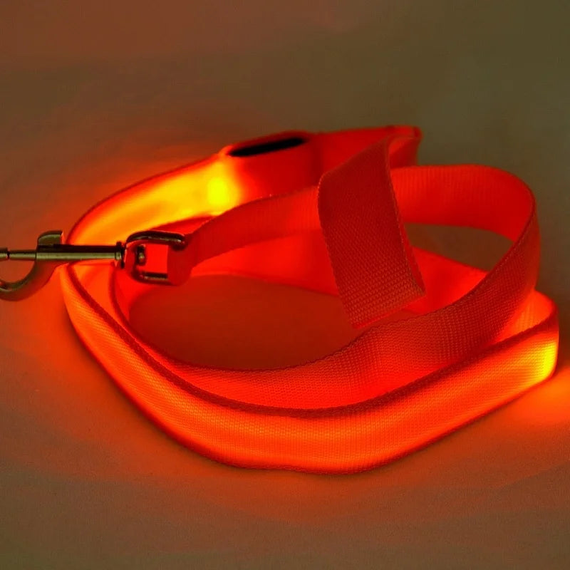 LED Light Up Dog Leash